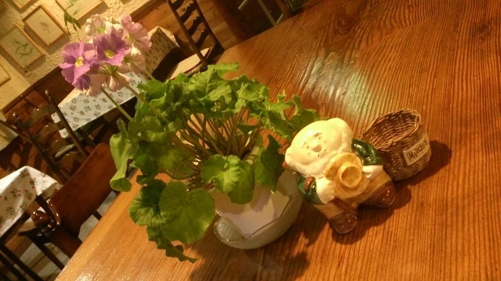 Gallery & Lodge Noichigo Hakuba Buitenkant foto