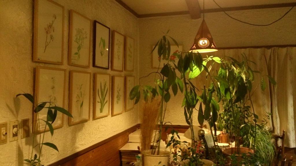 Gallery & Lodge Noichigo Hakuba Buitenkant foto